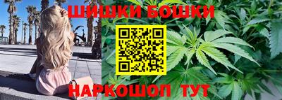 Альфа ПВП Моздок