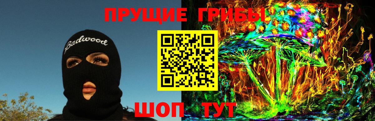Волгоград  Псилоцибиновые грибы GOLDEN TEACHER  Вход с VPN  Псилоцибиновые грибы Cubensis 