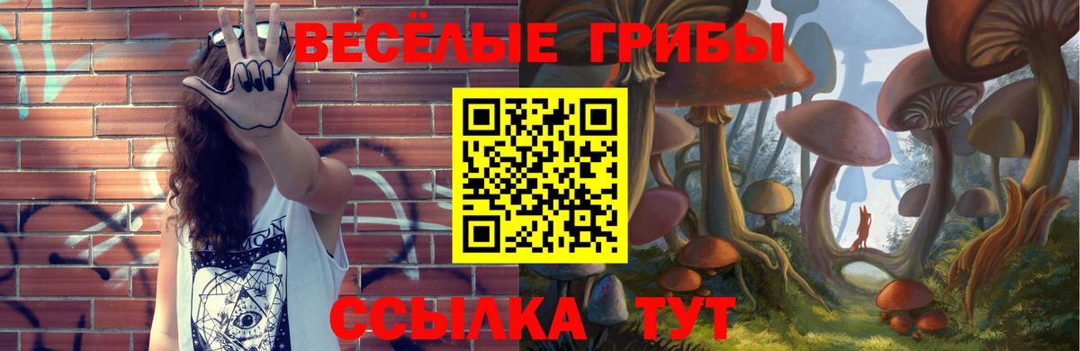 Галлюциногенные грибы Magic Shrooms Волгоград